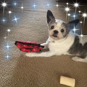 Meet your Posher, Mary